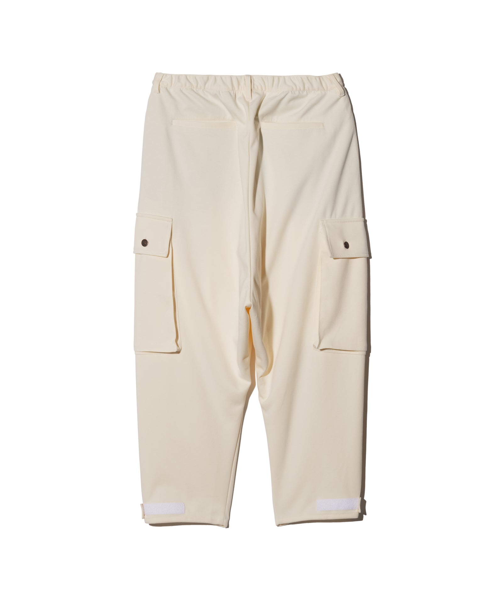 GB0425/P10 : Structure Tuck Cargo Pants / ストラクチャータック